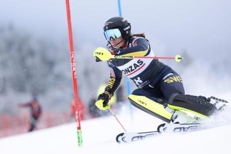 FIS World Cup Špindlerův Mlýn